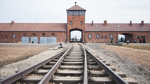 Czech/Slovak: Full-day guided tour of the Auschwitz Museum (Sunday 26. 7. 2026)